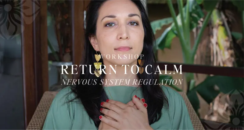 Workshop | Return to Calm: Nervous System Regulation