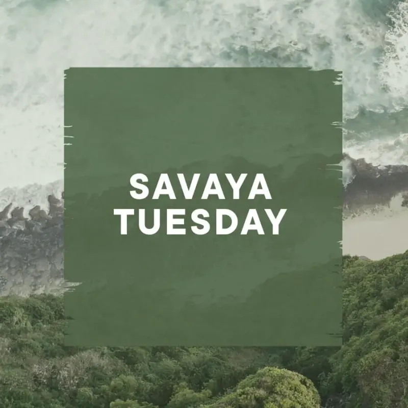 SAVAYA TUESDAY в Savaya Bali