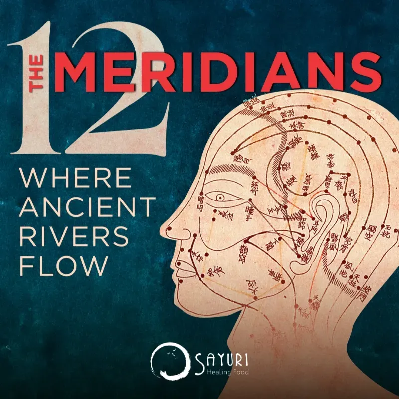 The 12 Meridians — Where Ancient Rivers Flow