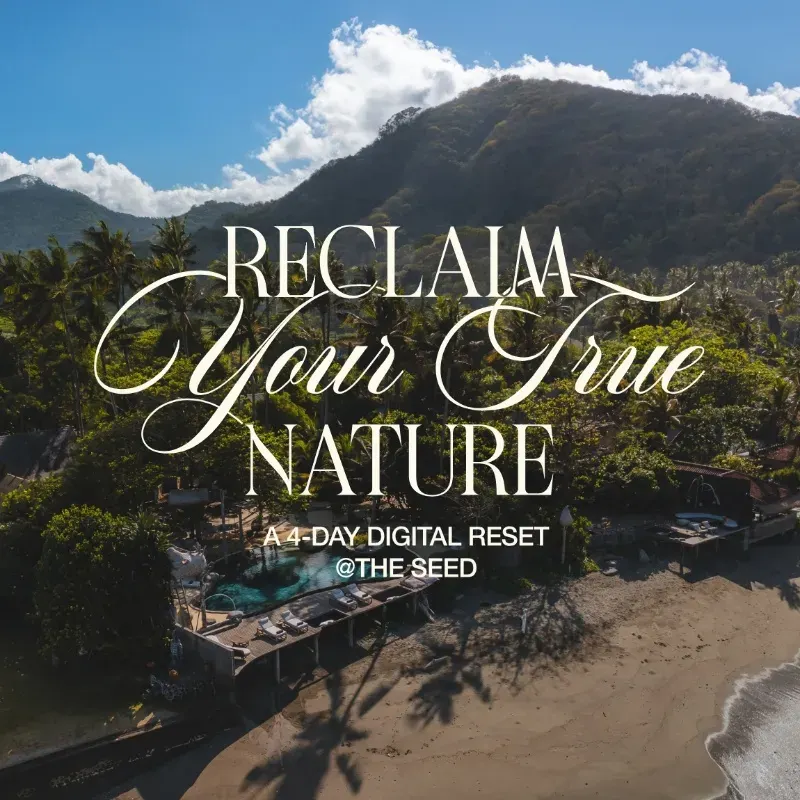 Reclaim Your True Nature - A 4-Day Digital Reset @ The Seed