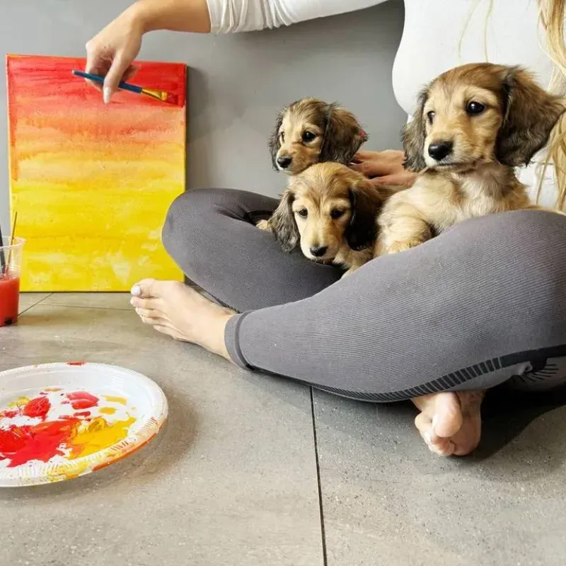 Puppy Painting Class Ubud